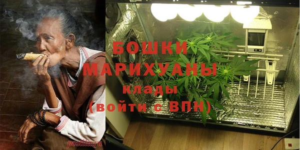 PSILOCYBIN Белокуриха