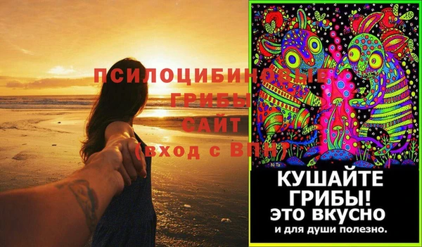 PSILOCYBIN Белокуриха