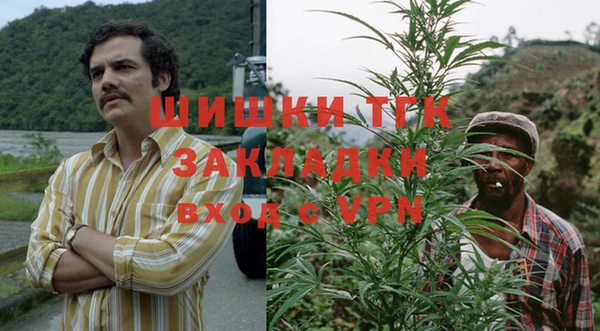 PSILOCYBIN Белокуриха