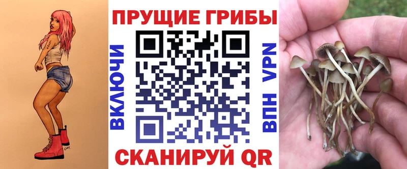 Псилоцибиновые грибы мухоморы  Купить  Сычёвка 