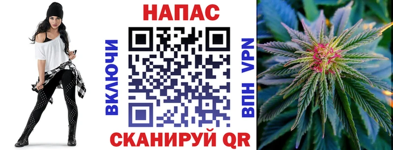 Бошки Шишки планчик Сычёвка